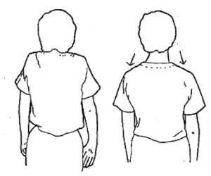 Shoulder shrugs: shoulders lifted upwards and rolled backwards