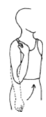 Bending and straightening the elbow