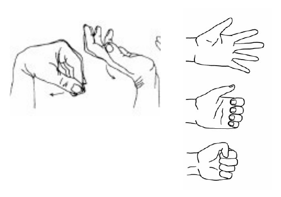 Bending the wrist back and forth, and opening and closing the hand into a fist
