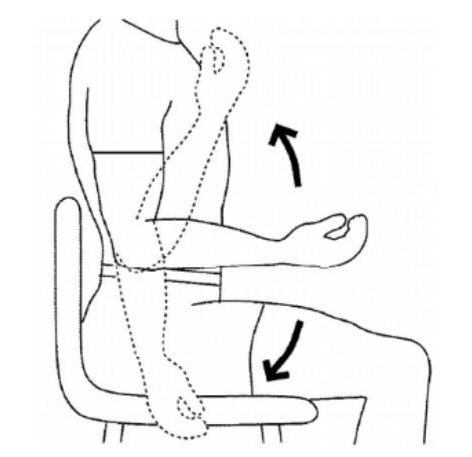 Seated elbow flexion and extension: bending the elbow up and straightening it down
