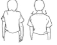 Shoulder shrugs: shoulders lifted upwards and rolled backwards