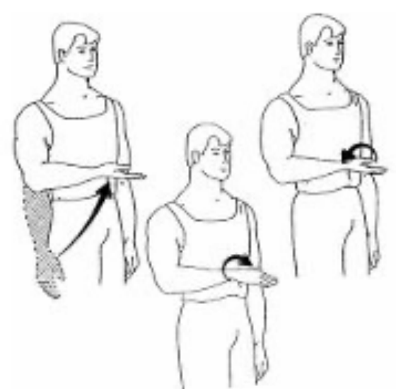 Forearm rotation with the elbow bent and tucked at the side, turning the palm up then down
