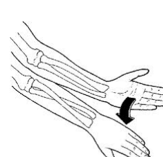Forearm twisting: turning the palm up and then palm down (supination and pronation)